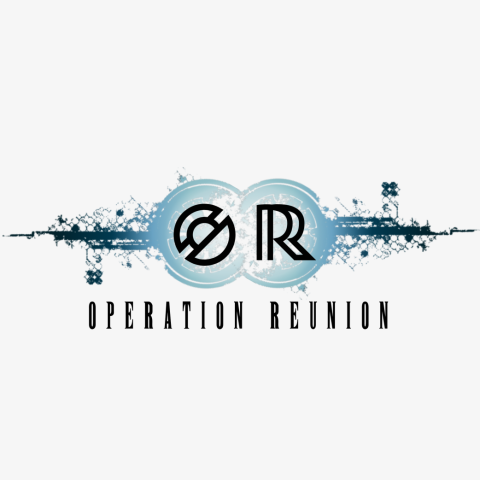 Operation Reunion